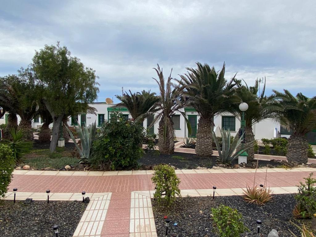 Casa Sandra Cocosol Costa De Antigua Extérieur photo